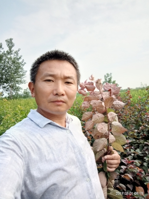 孩子爸的第一张照片--大连相亲服务中心