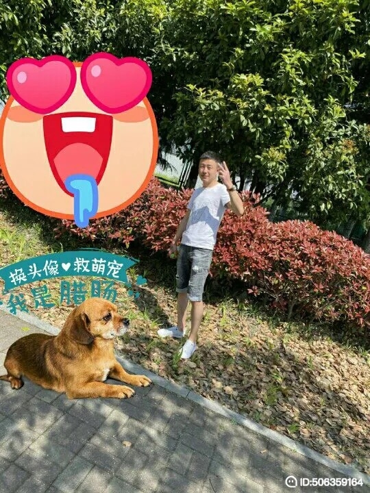 我若不坚强谁替我勇敢的第一张照片--大连相亲服务中心