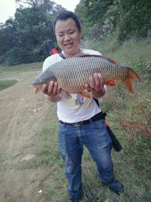 迷路的男人的第一张照片--大连相亲服务中心