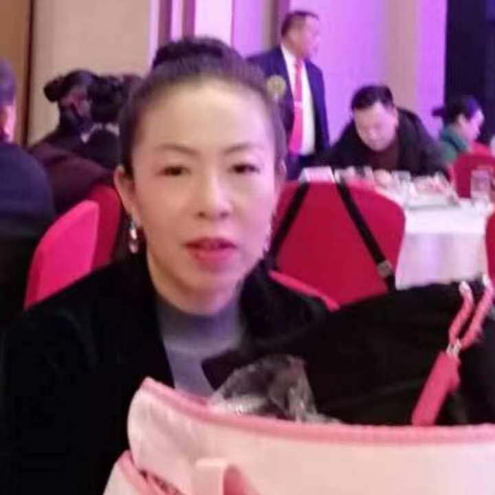 中秋桂花玉兔的第四张照片--大连相亲服务中心