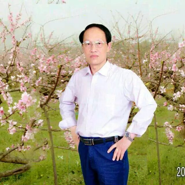 枫叶的第一张照片--大连相亲服务中心